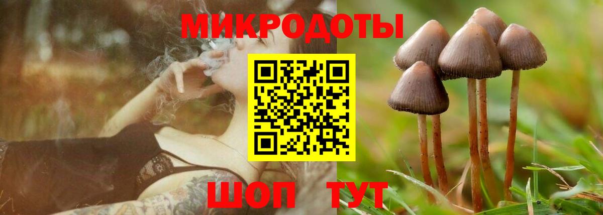 Галлюциногенные грибы GOLDEN TEACHER Кострома